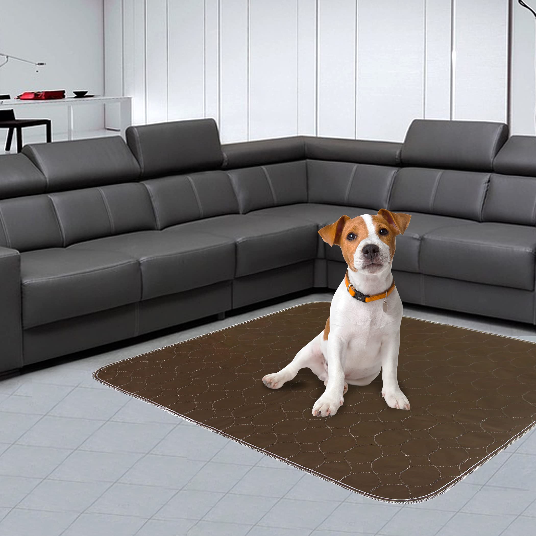 Washable Dog Pee Pads, 2 Packs