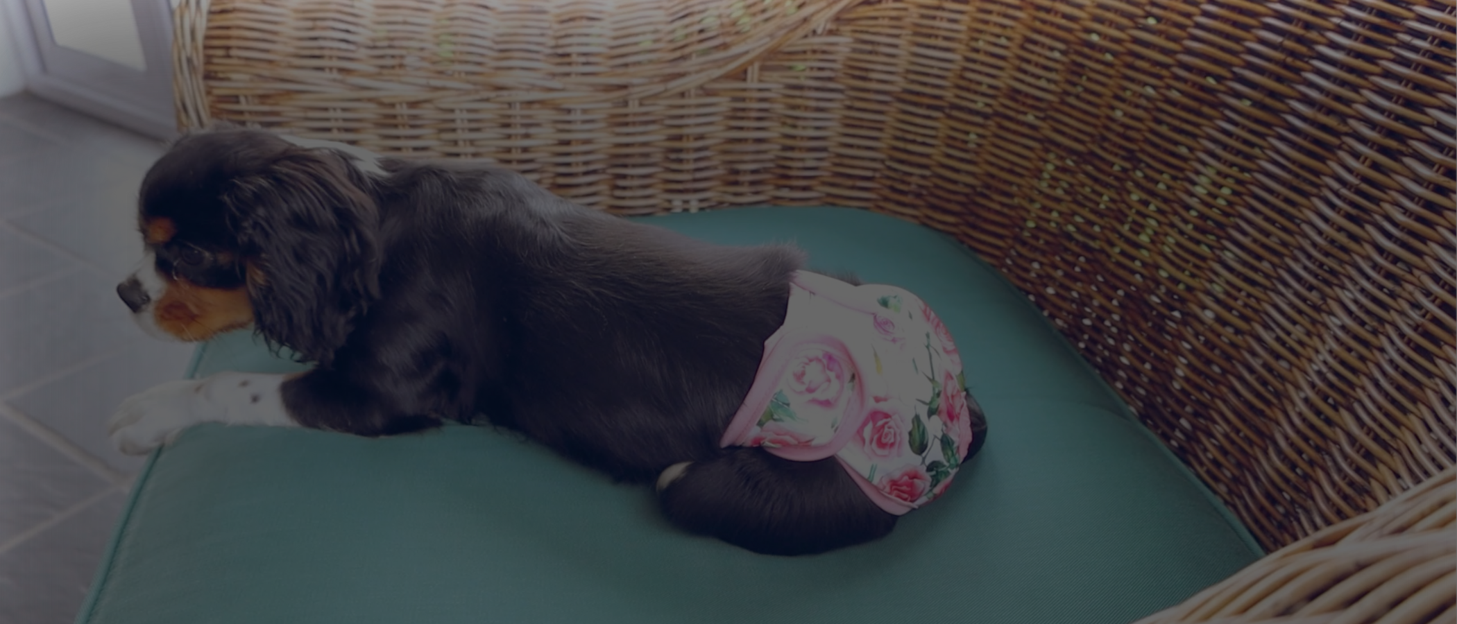 Female Dog Diaper Skirt Wegreeco