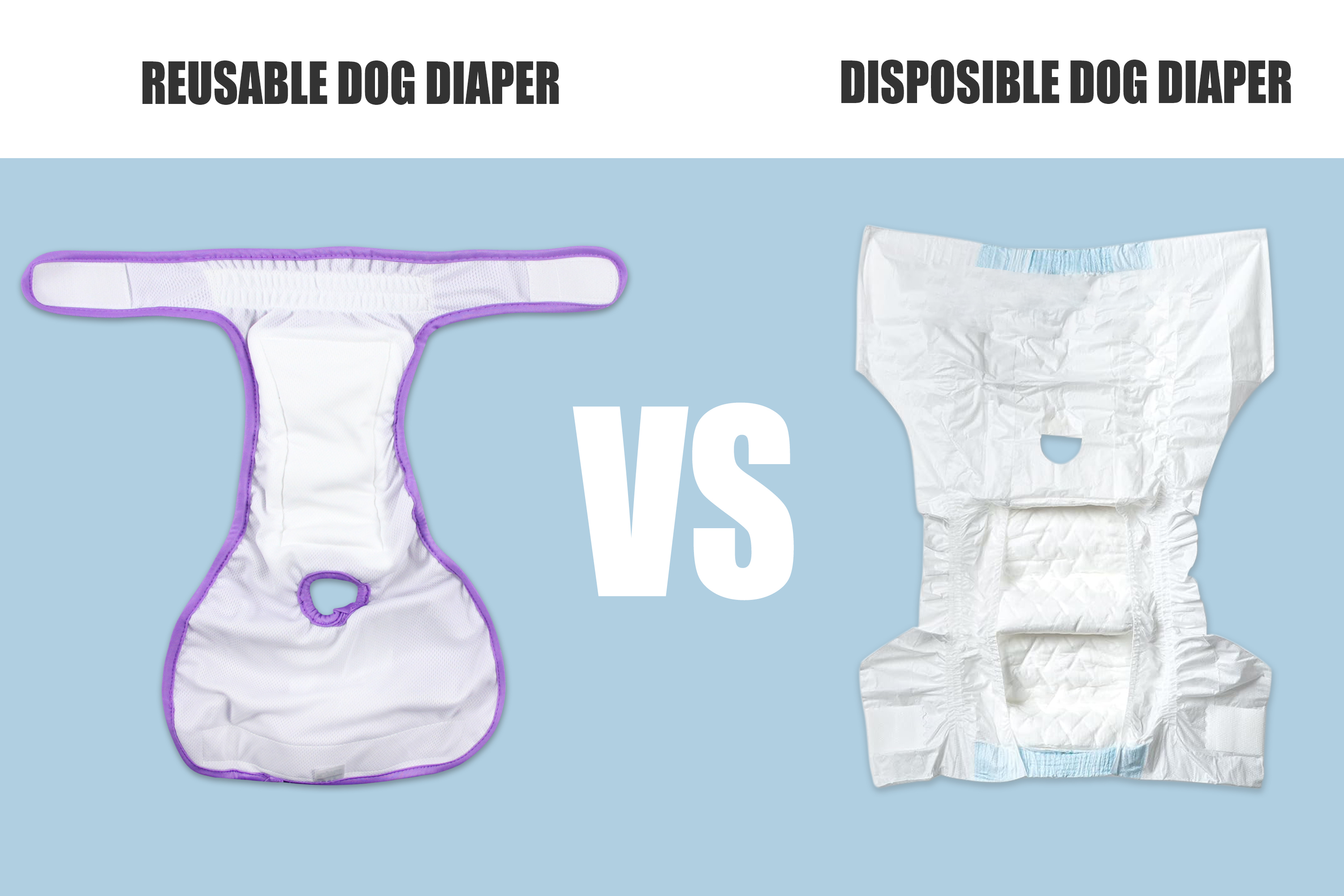 Why Dog Diapers Work for Your Dog's Heat Cycle