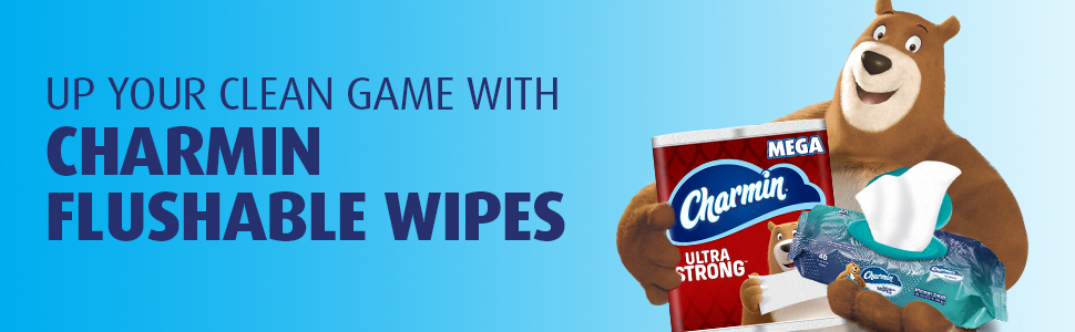 Charmin Flushable Wipes