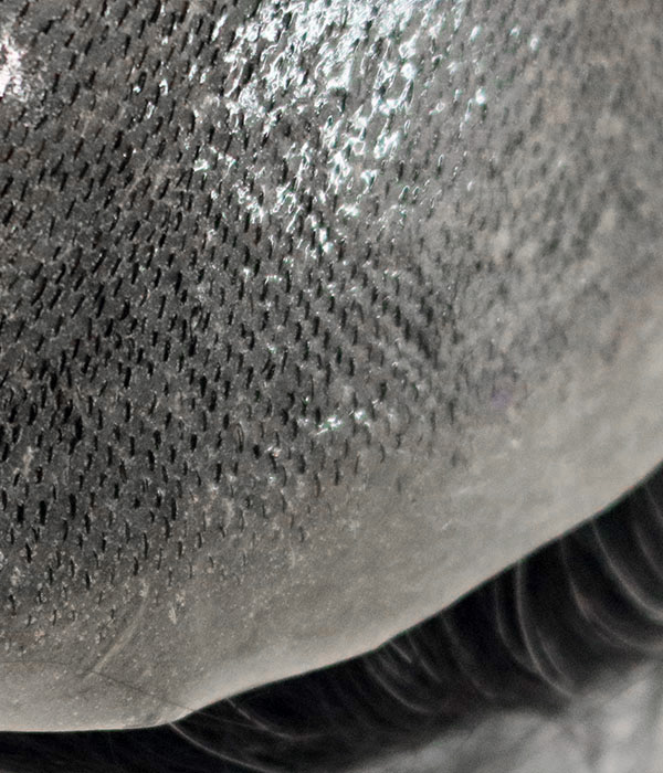 Skin (Knotted)-8"x10" Full Skin Hair System For Men (0.1-0.12mm) 