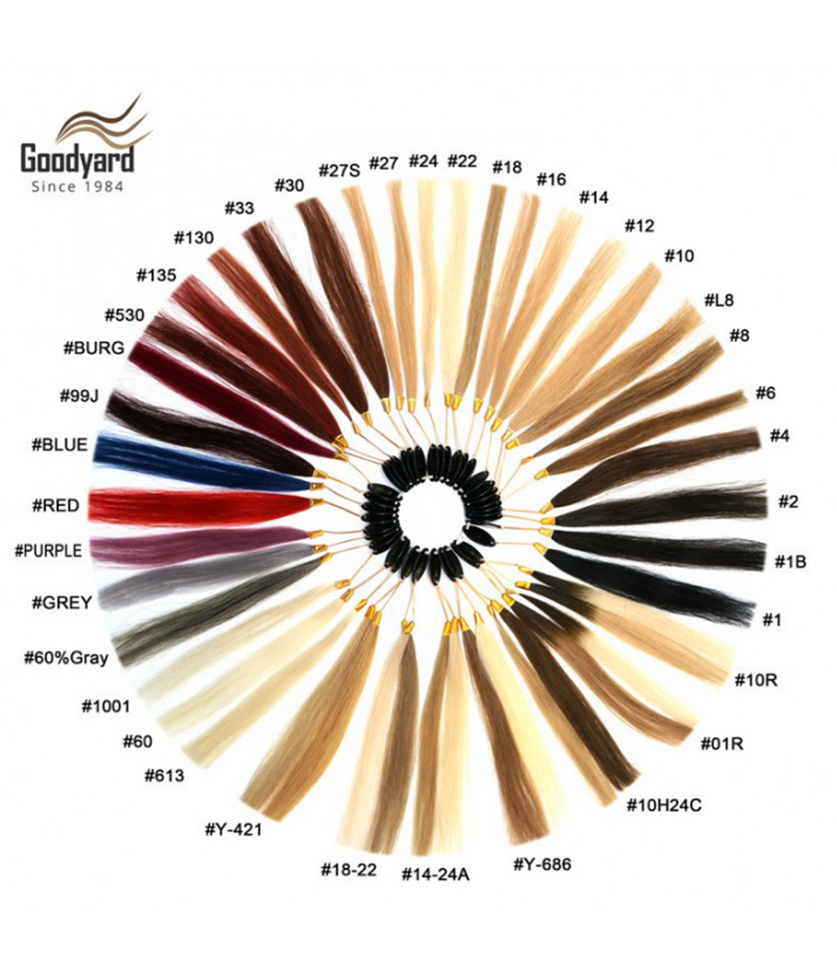 Color Chart- Color For Human Hair Extensions