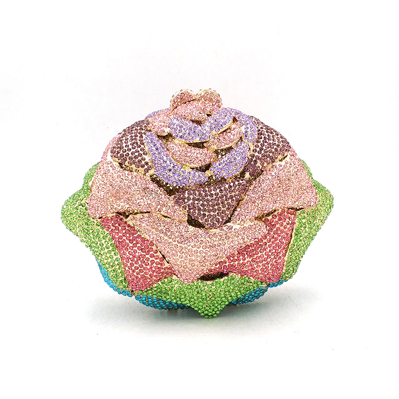 Multicoloured Rose