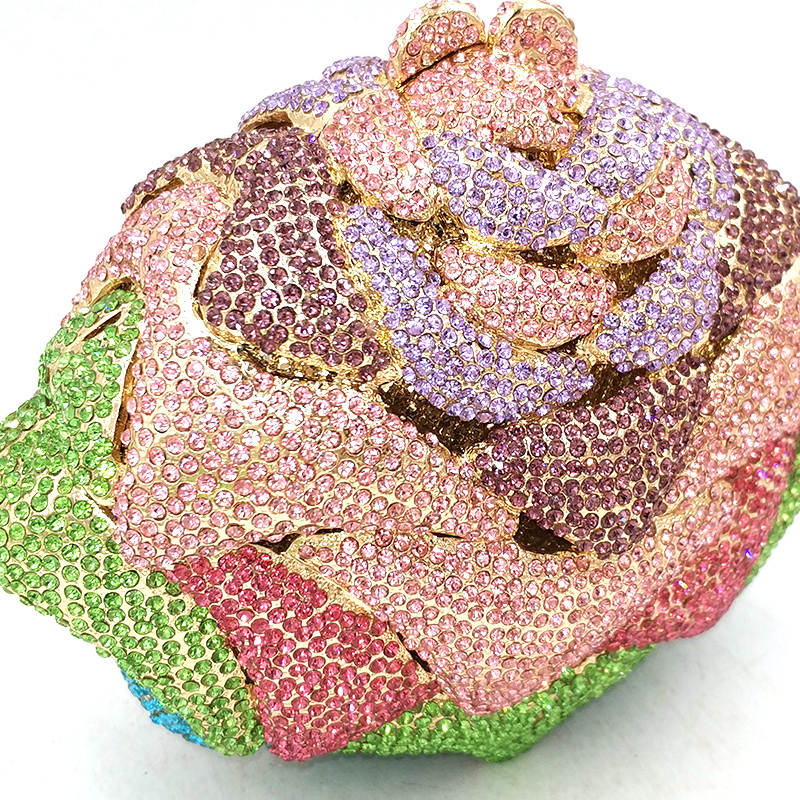 Multicoloured Rose