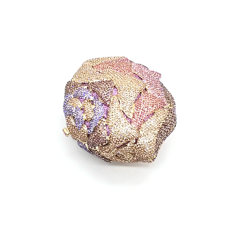 Multicoloured Rose