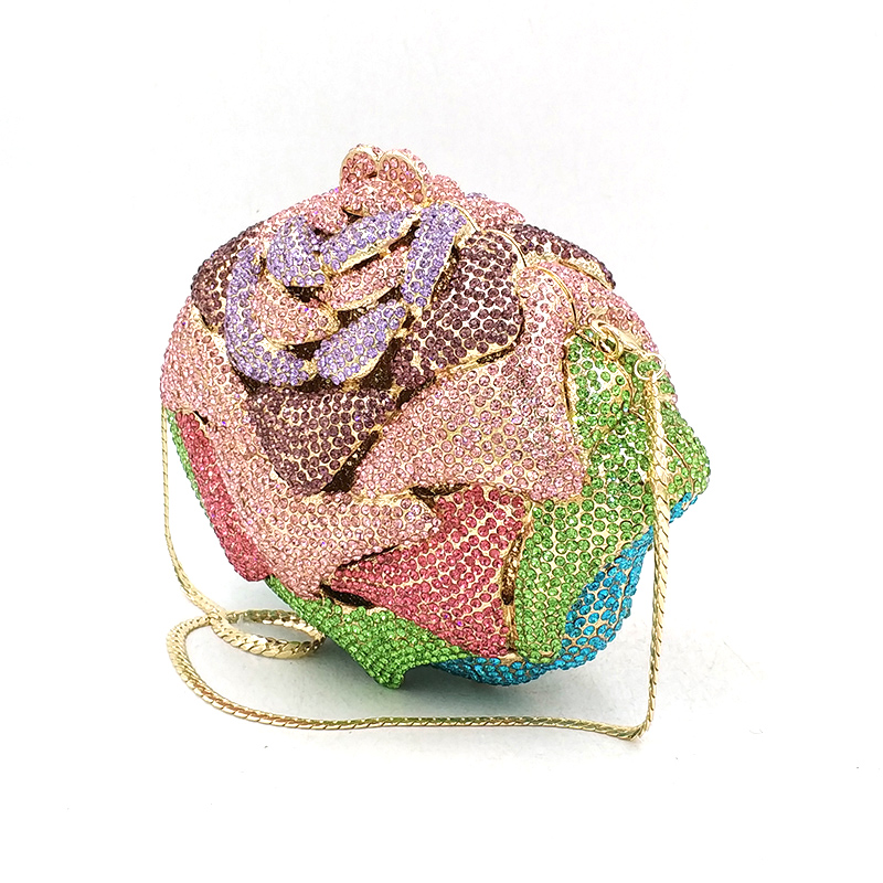 Multicoloured Rose