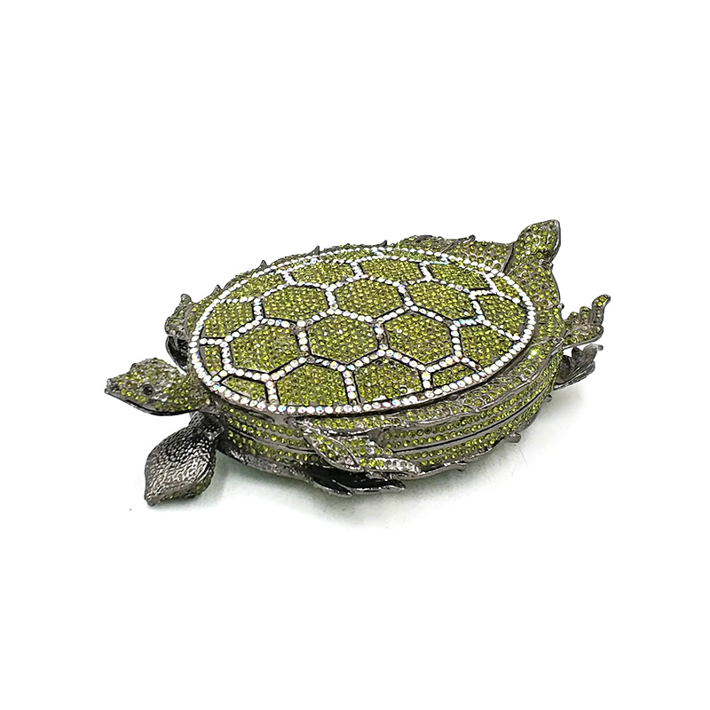 Long-lived Turtles