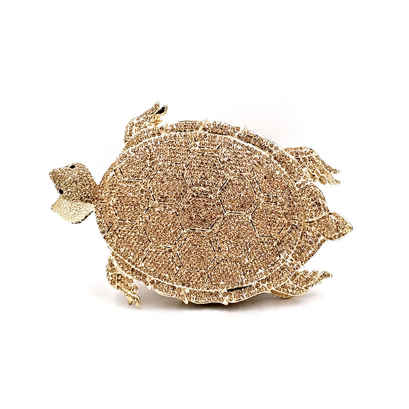 Long-lived Turtles