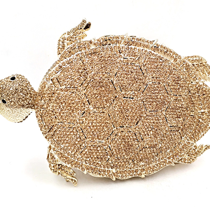 Long-lived Turtles
