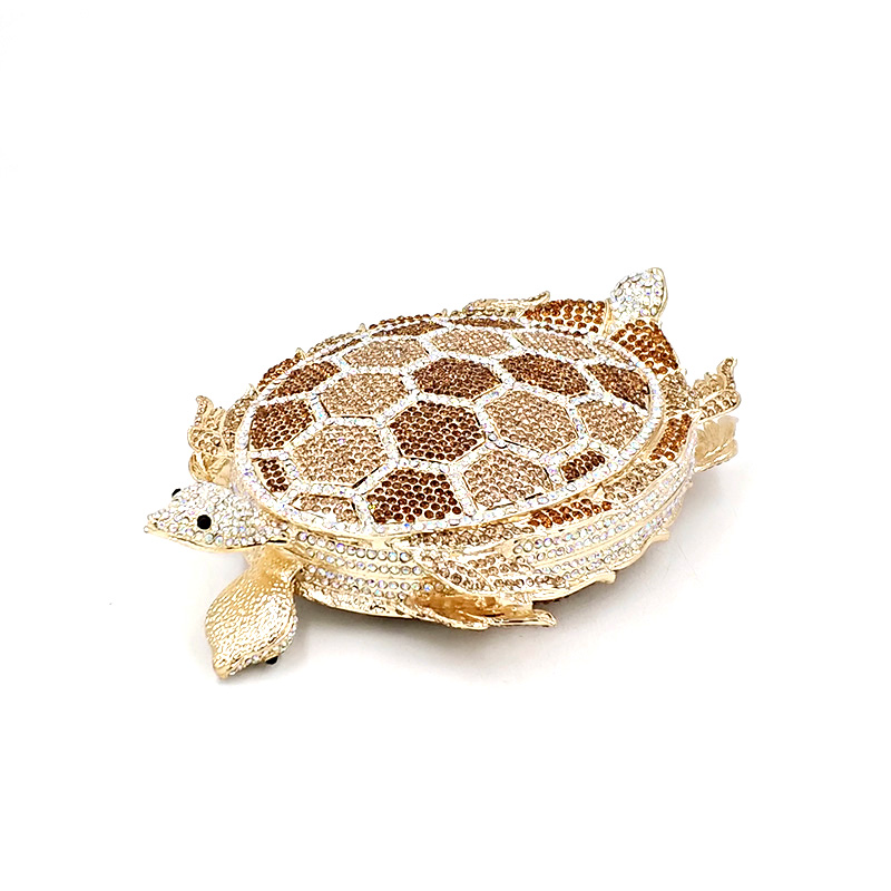 Long-lived Turtles