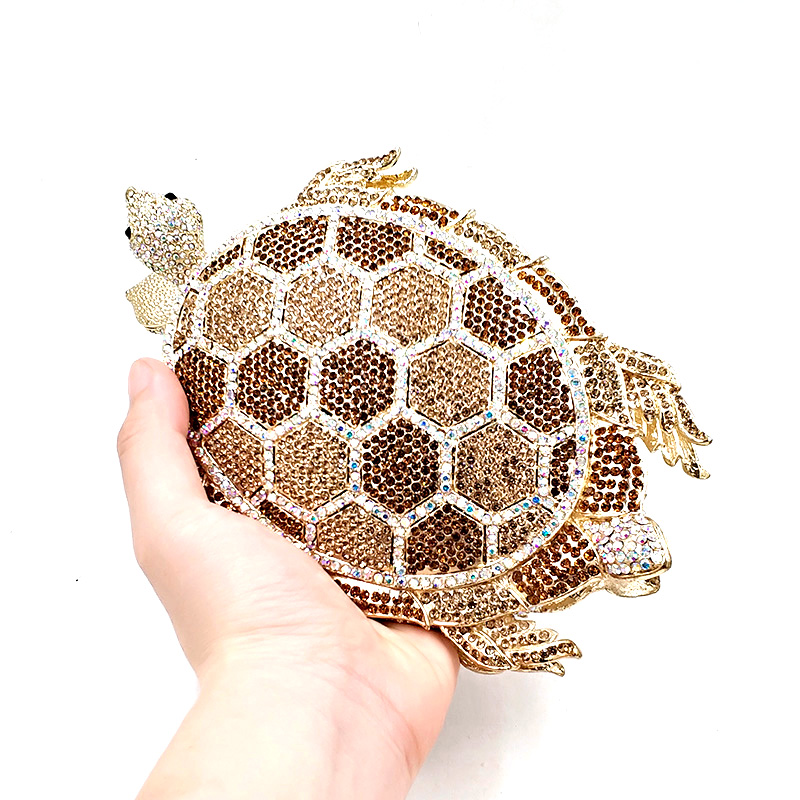 Long-lived Turtles