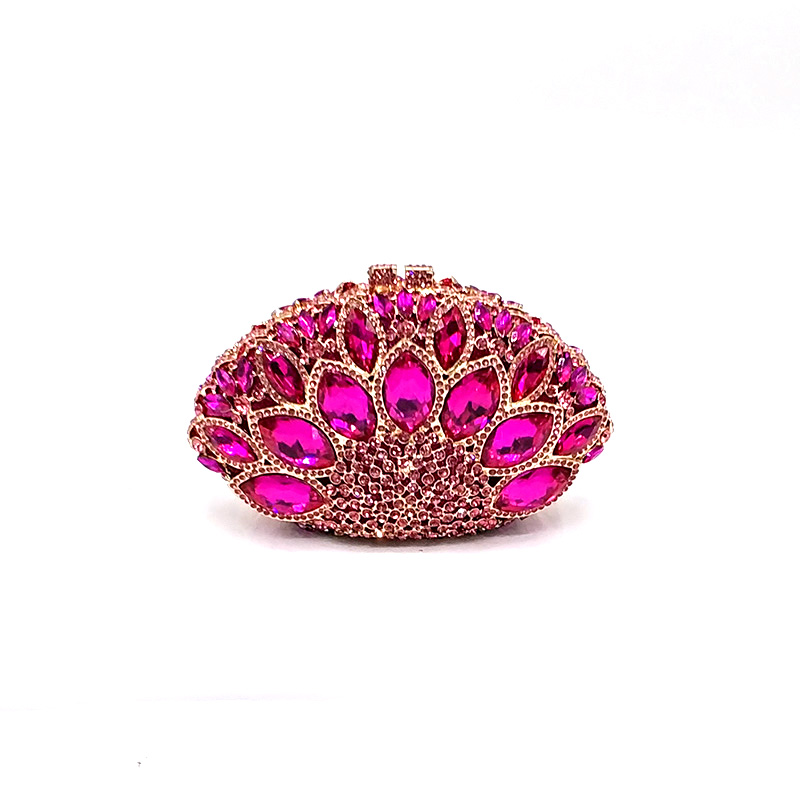 Beautiful Diamond Clutch