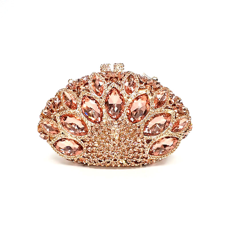 Beautiful Diamond Clutch