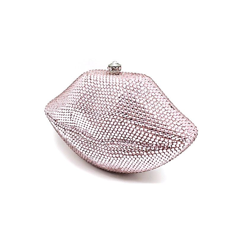 Sexy Lip Bag