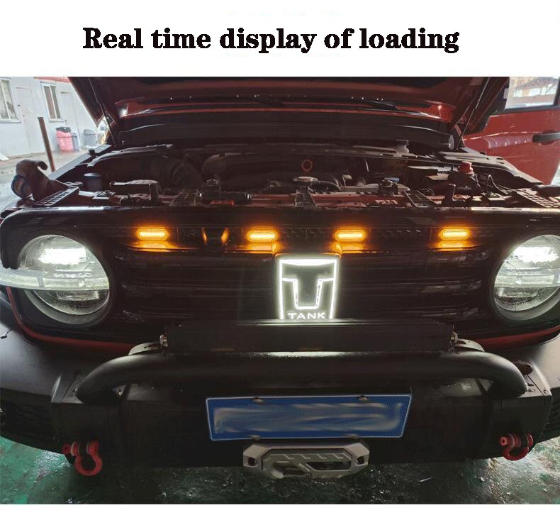 Great Wall WEY Tank 300 Medium Mesh Light LED Small Yellow Light Front