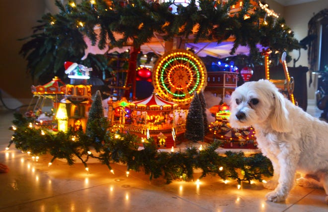 南希·坎帕纳罗 (Nancy Campanaro) 花了几天时间布置她的圣诞村树，上面装饰着 Lemax、Chrismas 先生和其他品牌的圣诞村。 她的狗 Gucci 设法偷偷进入照片拍摄。