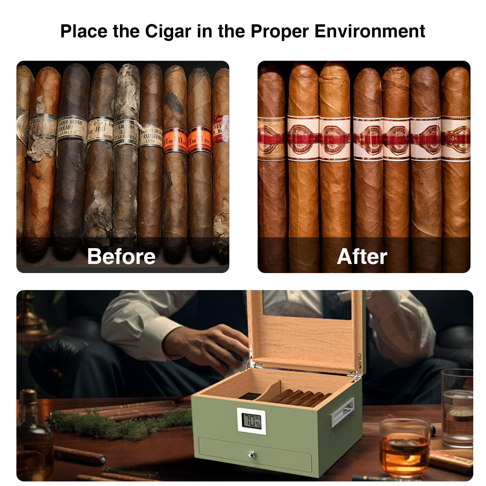 Mojgar Spanish Cedar Cigar Humidor