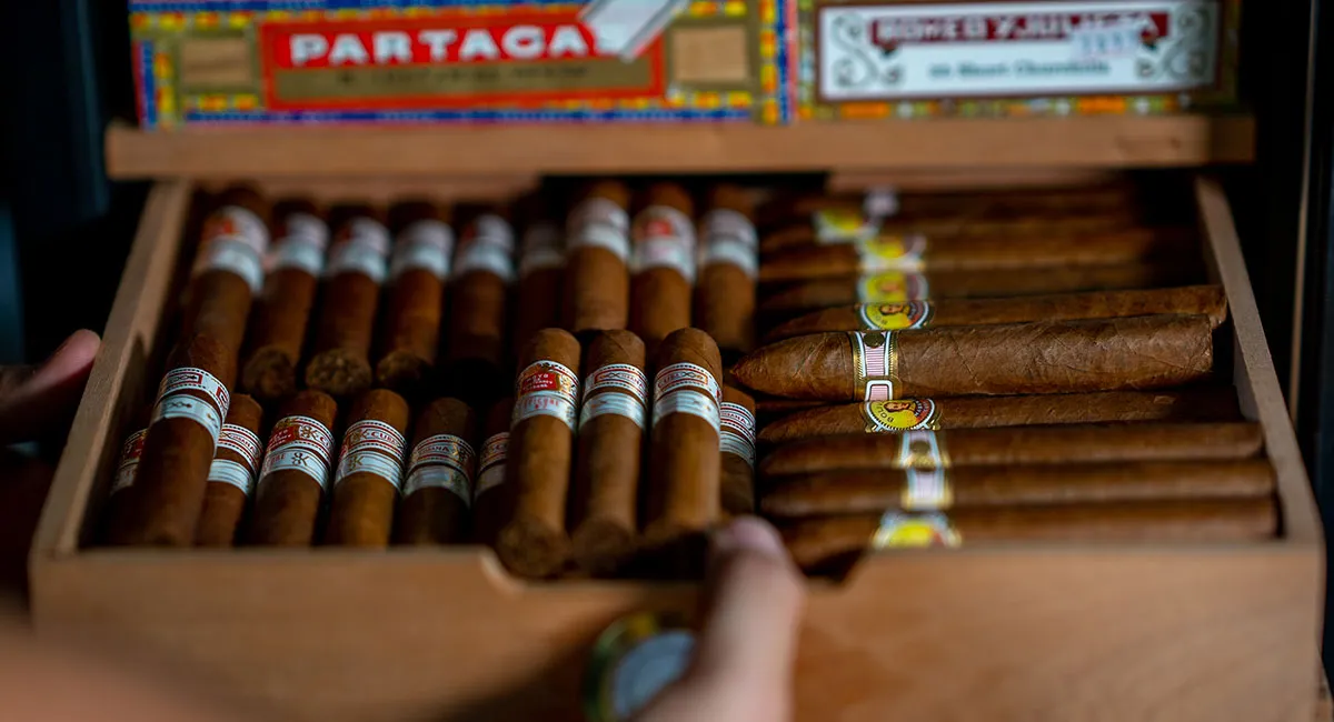 Introduction to Electric Humidors A Cigar Storage Solution