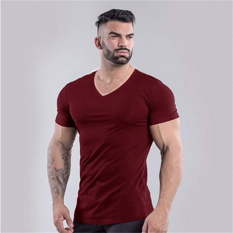 Men's Solid V-Neck T-Shirt