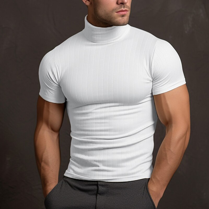 Men's T shirt Tee Tee Top Plain Striped Turtleneck Street Vacation Short Sleeves Clothing Apparel Fashion Designer Basic Top