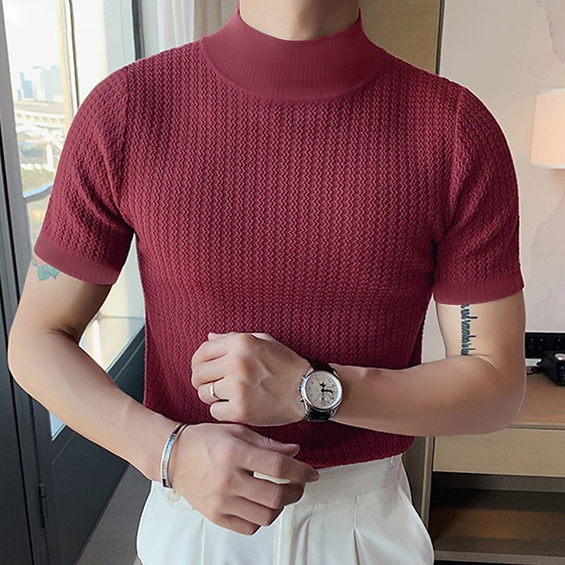 Men's T shirt Tee Tee Top Plain Turtleneck Street Vacation Short Sleeves Knitting Clothing Apparel Fashion Designer Basic Top