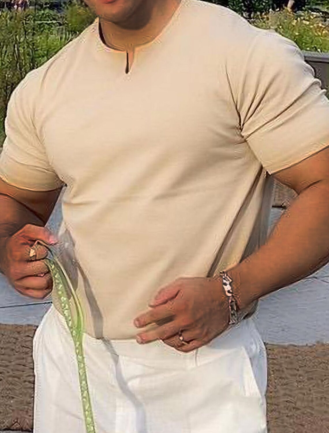 Men's T shirt Tee Plain V Neck Street Casual Short Sleeve Clothing App