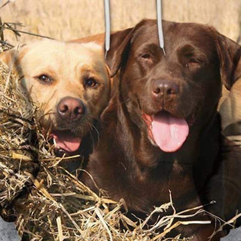 Men's Casual Khaki Dog Print Front Pocket Hooded Sweatshirt